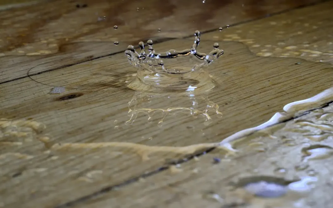 Dégât des eaux sur un sol en parquet